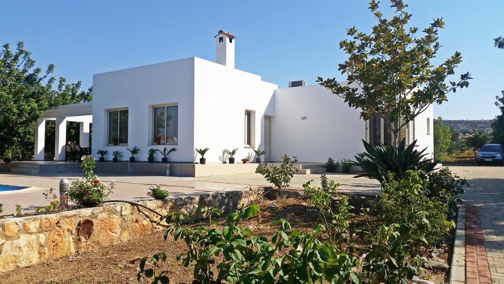 Eliofos Luxury Villa Polis Exteriör bild