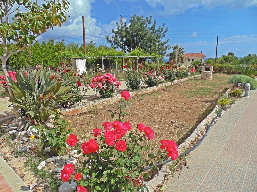 Eliofos Luxury Villa Polis Exteriör bild