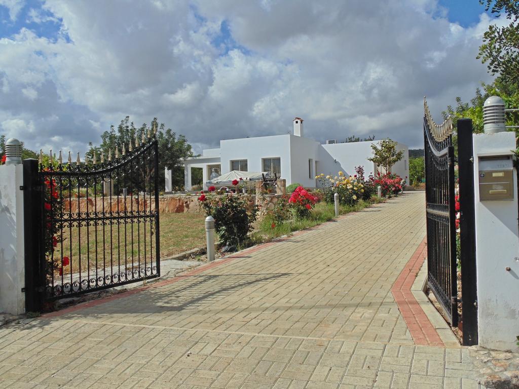Eliofos Luxury Villa Polis Exteriör bild