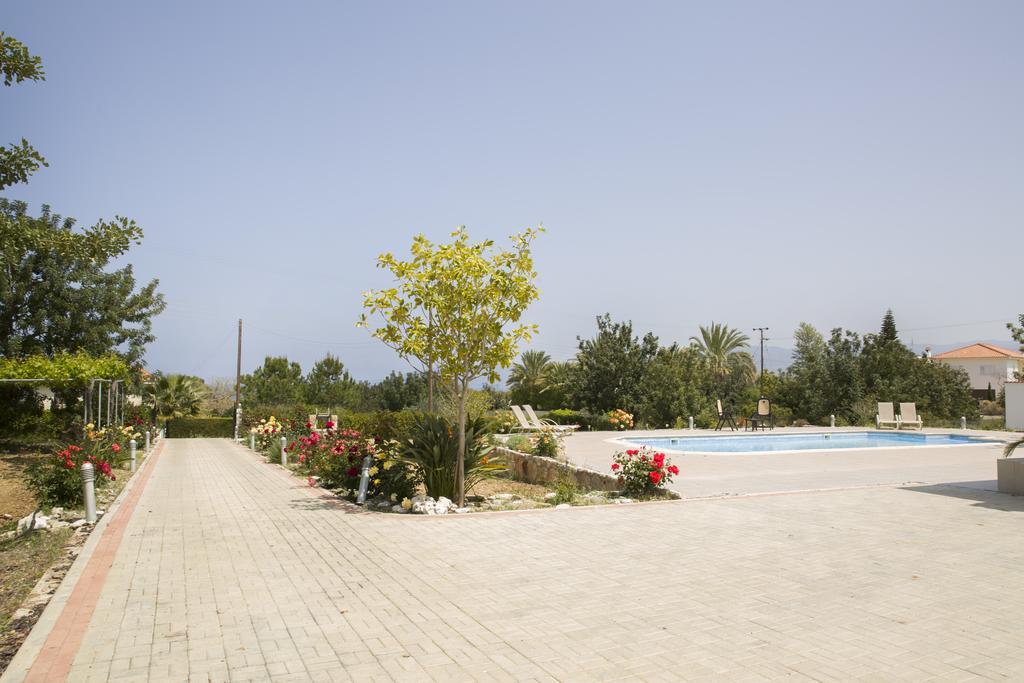 Eliofos Luxury Villa Polis Exteriör bild