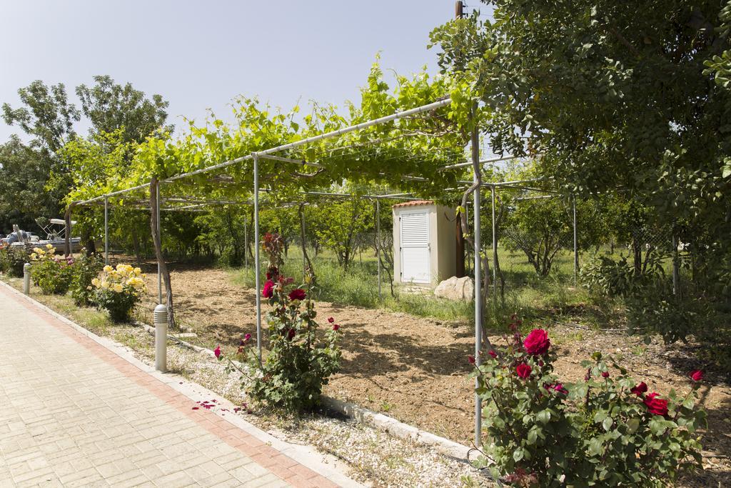 Eliofos Luxury Villa Polis Exteriör bild