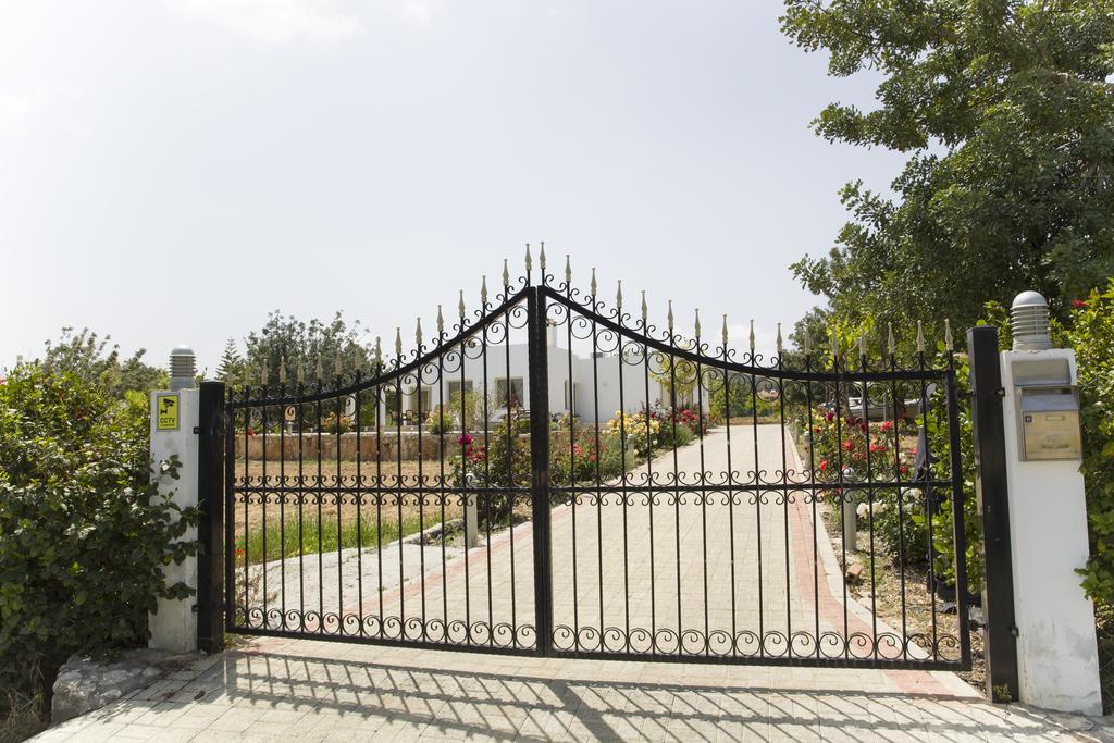 Eliofos Luxury Villa Polis Exteriör bild