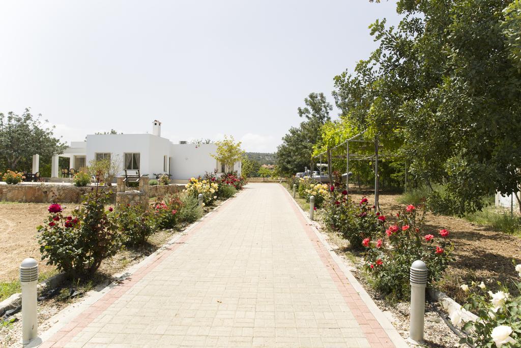 Eliofos Luxury Villa Polis Exteriör bild