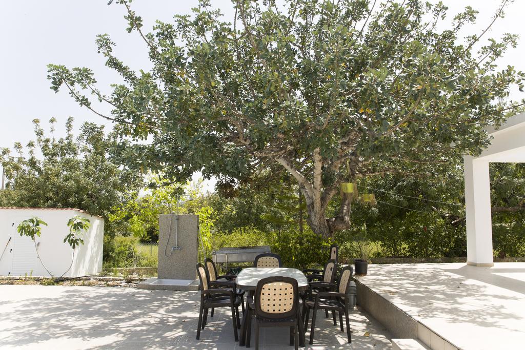 Eliofos Luxury Villa Polis Exteriör bild